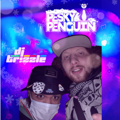 PESKY PIZZLE (PESKY PENGUIN B2B TR!ZZLE)