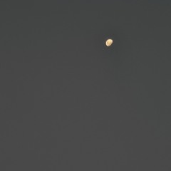 Sanctuary - Joji (cover)