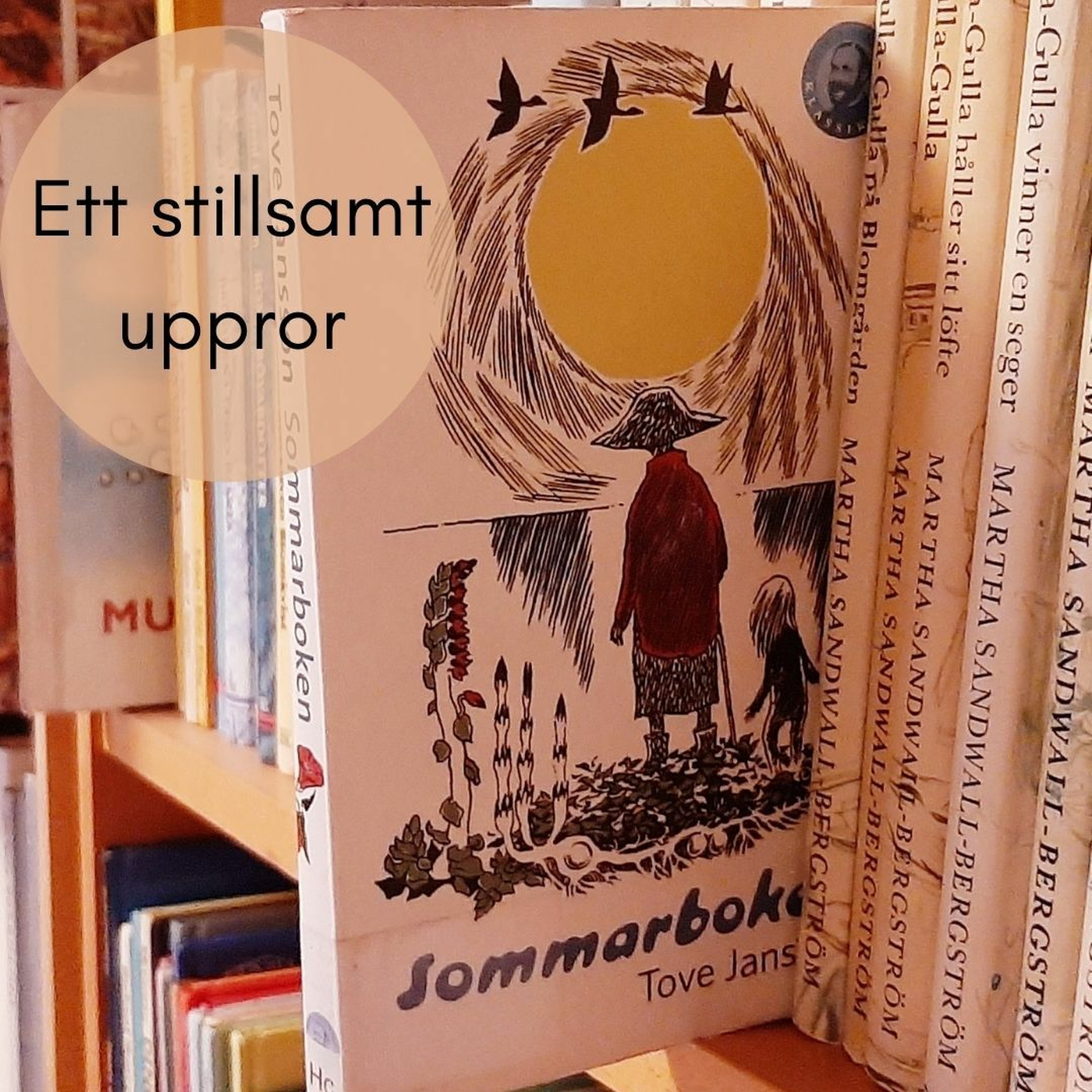 Mellan mörker och ljus