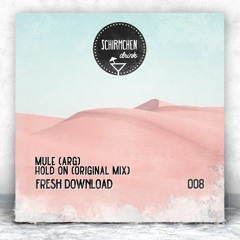 FRESH DOWNLOAD | Mule (Arg) - Hold On (Original Mix)