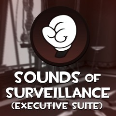 TTR: Sounds of Surveillance (Remix)