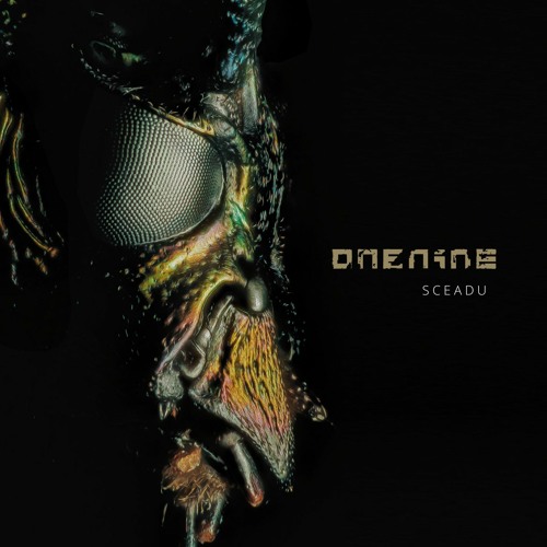 DEPLOYMENT [snippet]