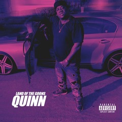 02. Quinn - Flaw x Georgetown DG