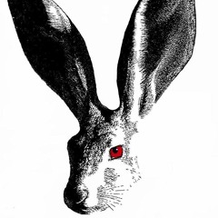 Rab.bit for SimSalaBoom Final Countdown