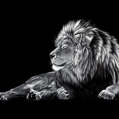 🦁🎶