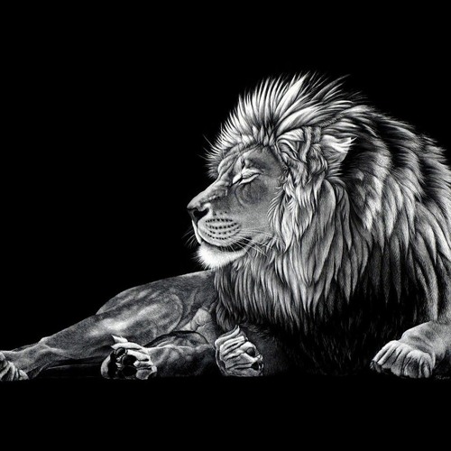 🦁🎶