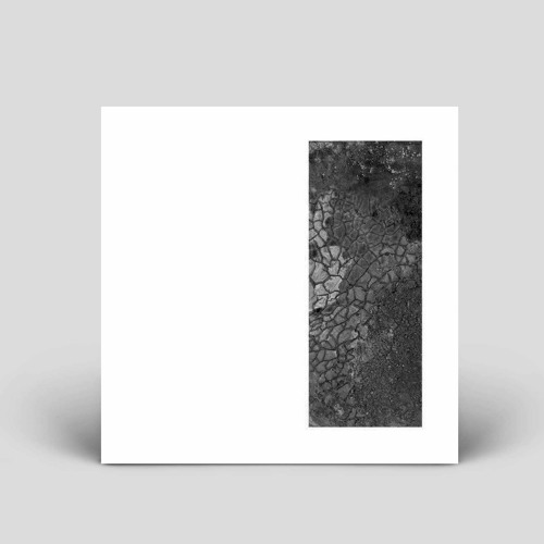 PLTM011 - HITAM | YANT - Shedding Bark (Snippets)