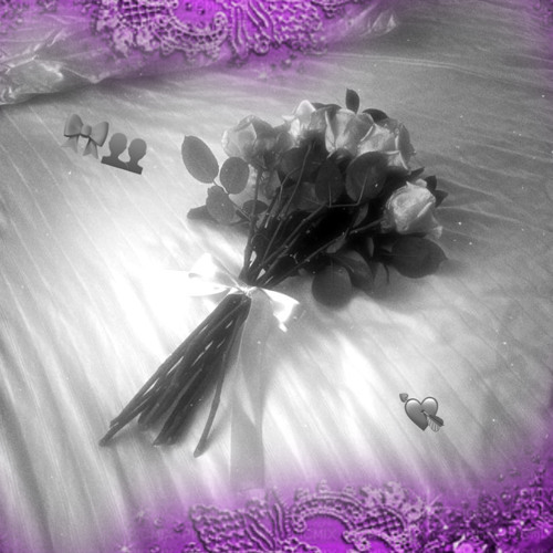 need your love + lavendr + zarki! | [prod. 6383 + die4yourlove]