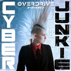 Cyber Junkie