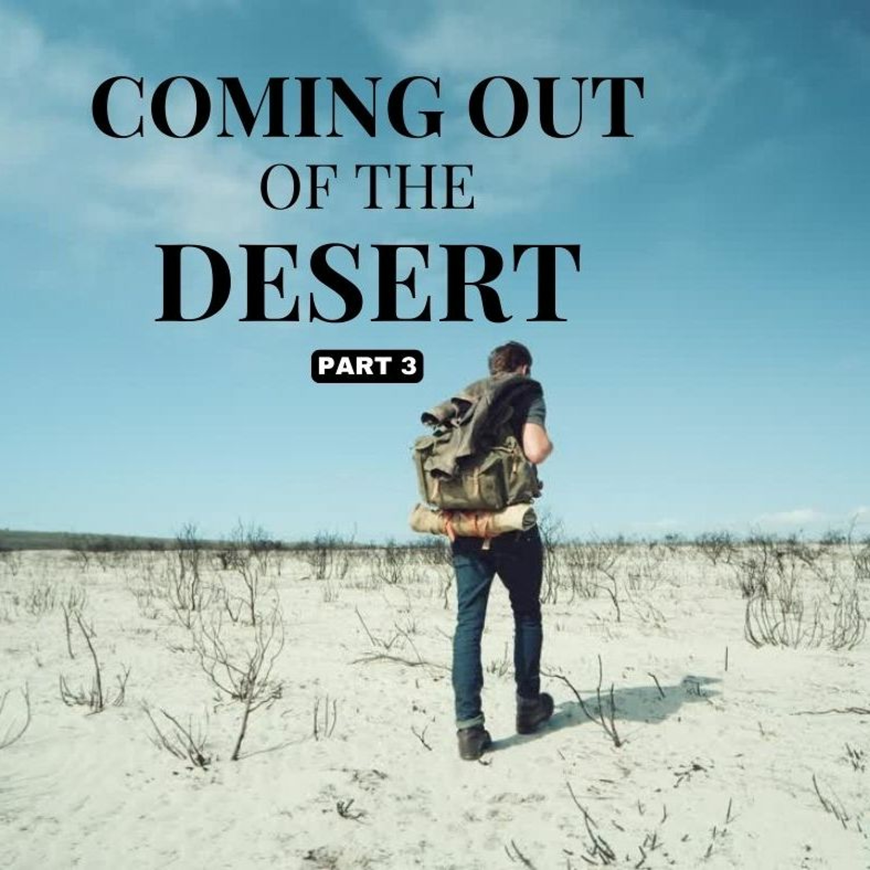 Coming Out of The Desert (PT. 3) // Pas Subash Cherian episode artwork