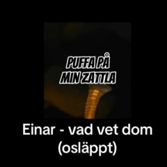 Einár - Vad vet dom (AI OSLÄPPT)