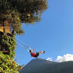 SEV'S SUMMER SELECTIONS