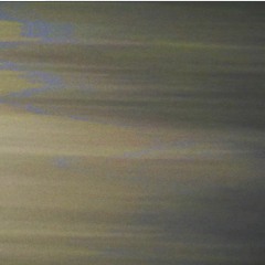 Japura River - Aguas da Amazonia (Arrangement)