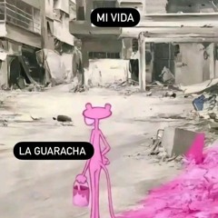 MAMBO - PELUSAA 2024