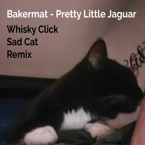 Pretty little jaguar bakermat