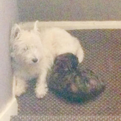 MERRY CHRISTMAS FRM PKD RECORDS <3