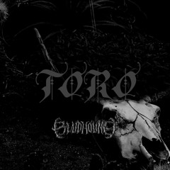 Toro - I Hate Models [Schranz Edit]