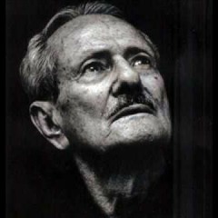 احمد عاشورپور - ای لیلی