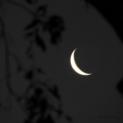 What Really Matters?