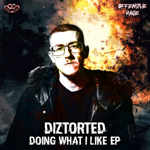 Diztorted-Doing What I Like-RADIO