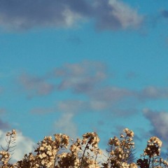 Billi Bossa Nova - Piotr Gawarecki cover