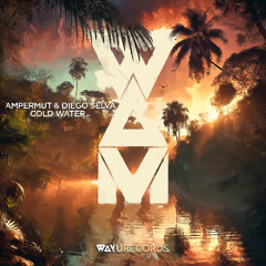 Cold Water (Original Mix)