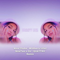 Nina Chuba - Wildberry Lillet SineTwo x DJ - QUATTRO Remix
