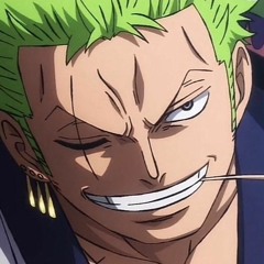 Zoro Speech to Luffy