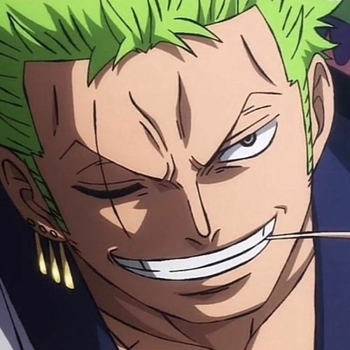 Zoro Speech to Luffy