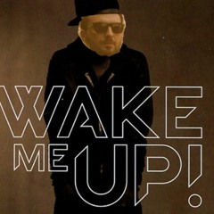 La nuova stella di Broadway vs Wake me up -  mashup