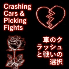Crashin Cars And Pickin Fights / Grippy Socks