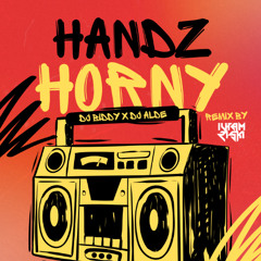 HANDZ HORNY - DJ BIDDY X DJ ALDE
