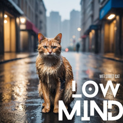 You Are Sinking for Madness