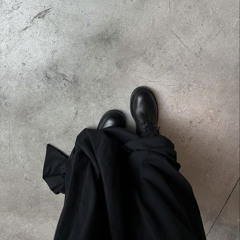 fly