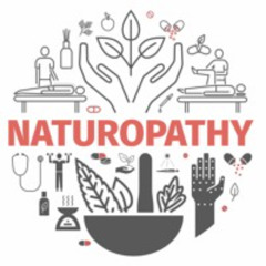 A Naturopath Discovers AVINI Health