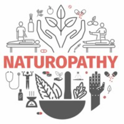 A Naturopath Discovers AVINI Health