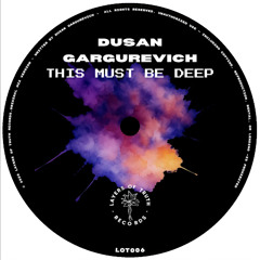 PREMIERE: Dusan Gargurevich - St. Marks (303 Mix) [LOT006]