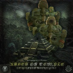 Sonus Syntex (Jikken 0 & Metapsycho) - Endlesness [240] [Demo] Ashes of Temple EP