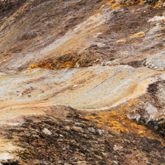 Suficiência e Regeneração > Agata Meysner, Inês Costa Pereira