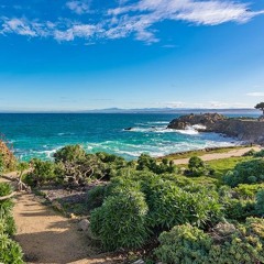 Monterey