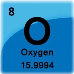 U #4