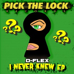 D-FLEX - I NEVER KNEW EP - APRIL 16TH