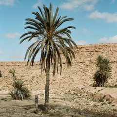 Édition Tunisie / Introduction