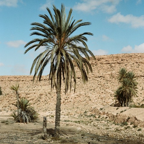 Édition Tunisie / Introduction