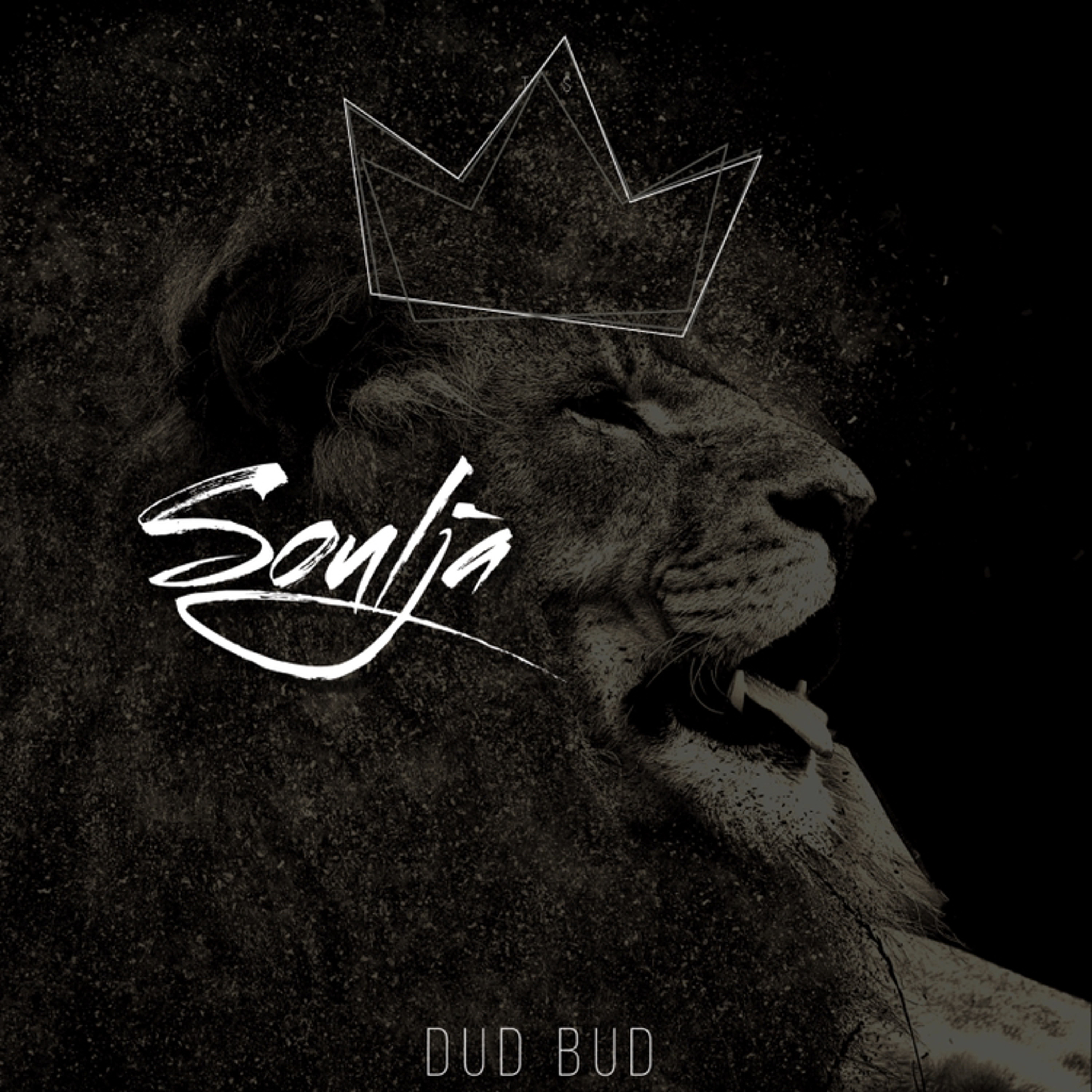 Soulja episode artwork