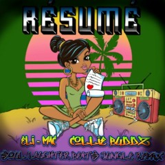 Eli - Mac X Collie Buddz - Résumé (Soul Laughter Beats Jungle Remix)