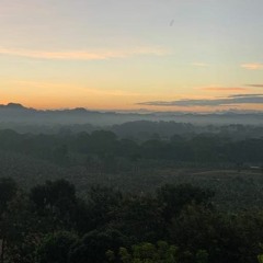 House Music All Life Long (Dancing, Moving, Dancing) - Mixed House Styles, Vinyl Only