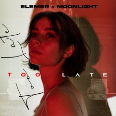 Elemer X Moonlight - Too Late