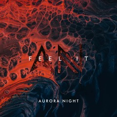 Aurora Night - Feel It