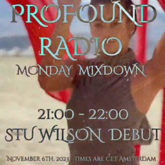Debut Guest Set Profound Radio  Progressive & Melodic @djstuwilson
